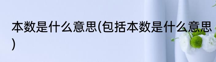 本数是什么意思(包括本数是什么意思)