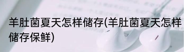 羊肚菌夏天怎样储存(羊肚菌夏天怎样储存保鲜)