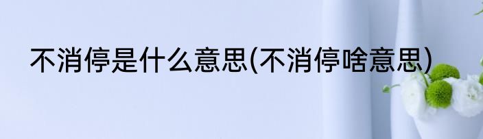 不消停是什么意思(不消停啥意思)