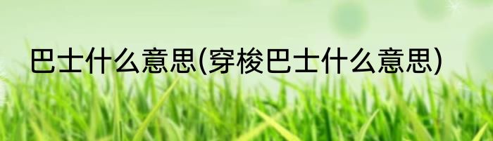 巴士什么意思(穿梭巴士什么意思)