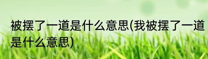 被摆了一道是什么意思(我被摆了一道是什么意思)