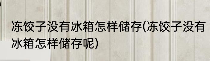 冻饺子没有冰箱怎样储存(冻饺子没有冰箱怎样储存呢)