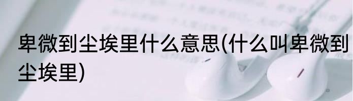 卑微到尘埃里什么意思(什么叫卑微到尘埃里)