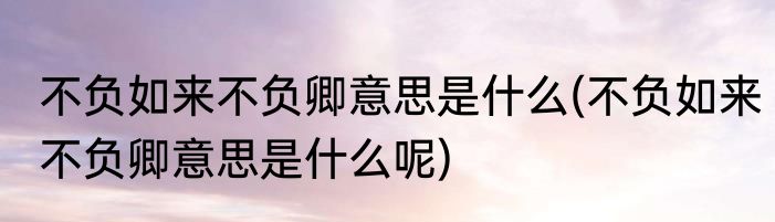 不负如来不负卿意思是什么(不负如来不负卿意思是什么呢)