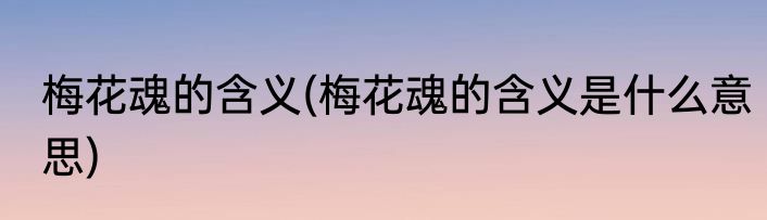梅花魂的含义(梅花魂的含义是什么意思)