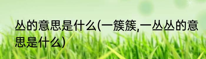 丛的意思是什么(一簇簇,一丛丛的意思是什么)