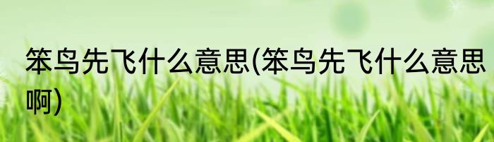 笨鸟先飞什么意思(笨鸟先飞什么意思啊)