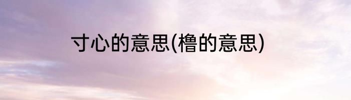 寸心的意思(橹的意思)