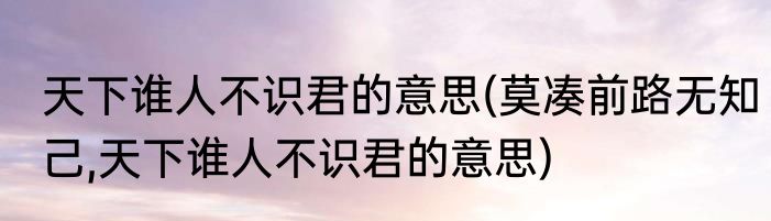 天下谁人不识君的意思(莫凑前路无知己,天下谁人不识君的意思)