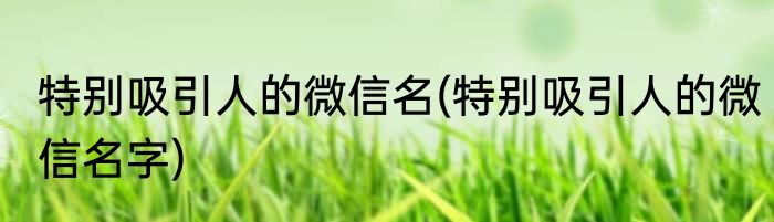 特别吸引人的微信名(特别吸引人的微信名字)