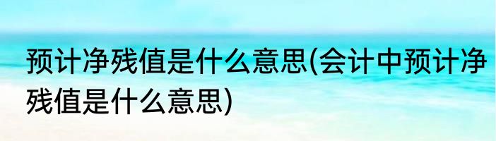 预计净残值是什么意思(会计中预计净残值是什么意思)