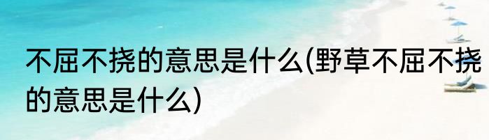 不屈不挠的意思是什么(野草不屈不挠的意思是什么)