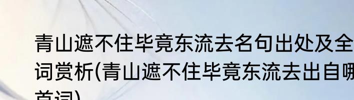 青山遮不住毕竟东流去名句出处及全词赏析(青山遮不住毕竟东流去出自哪首词)
