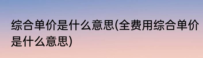 综合单价是什么意思(全费用综合单价是什么意思)