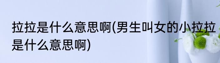 拉拉是什么意思啊(男生叫女的小拉拉是什么意思啊)