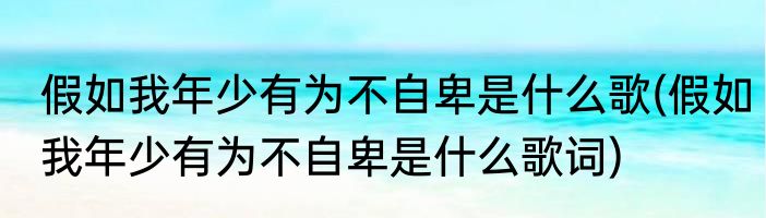 假如我年少有为不自卑是什么歌(假如我年少有为不自卑是什么歌词)