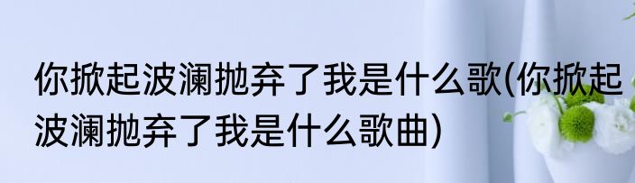 你掀起波澜抛弃了我是什么歌(你掀起波澜抛弃了我是什么歌曲)