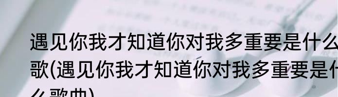 遇见你我才知道你对我多重要是什么歌(遇见你我才知道你对我多重要是什么歌曲)