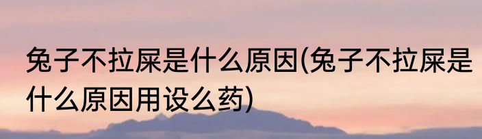 兔子不拉屎是什么原因(兔子不拉屎是什么原因用设么药)