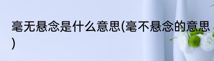 毫无悬念是什么意思(毫不悬念的意思)