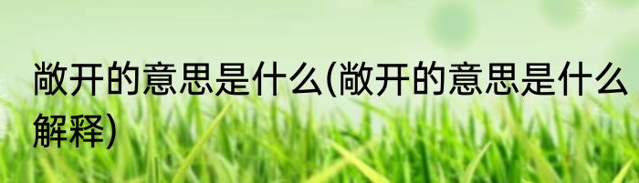 敞开的意思是什么(敞开的意思是什么解释)
