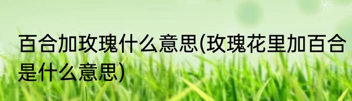 百合加玫瑰什么意思(玫瑰花里加百合是什么意思)