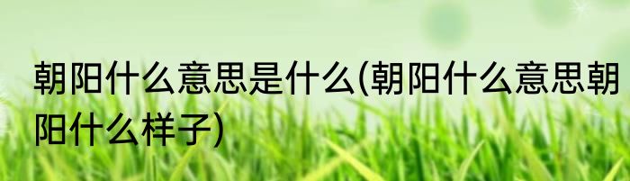 朝阳什么意思是什么(朝阳什么意思朝阳什么样子)