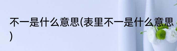 不一是什么意思(表里不一是什么意思)