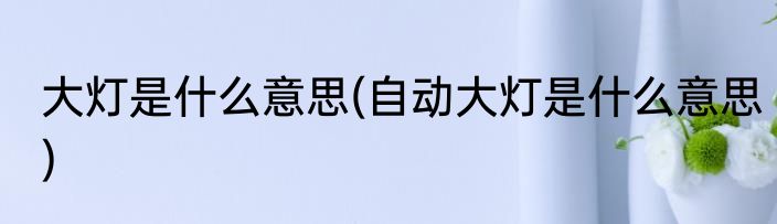 大灯是什么意思(自动大灯是什么意思)
