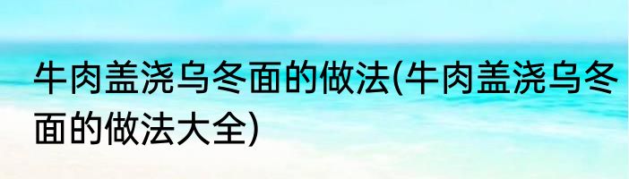 牛肉盖浇乌冬面的做法(牛肉盖浇乌冬面的做法大全)