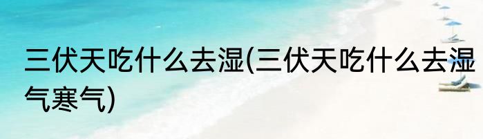 三伏天吃什么去湿(三伏天吃什么去湿气寒气)