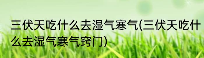 三伏天吃什么去湿气寒气(三伏天吃什么去湿气寒气窍门)