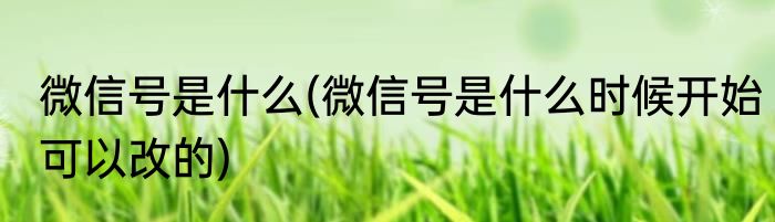 微信号是什么(微信号是什么时候开始可以改的)