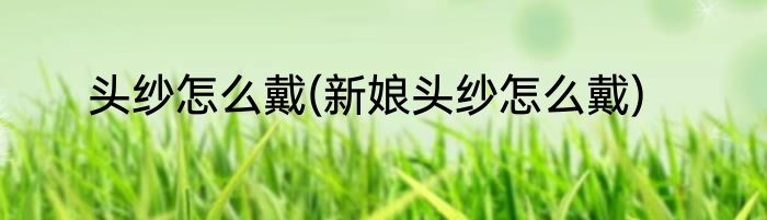 头纱怎么戴(新娘头纱怎么戴)