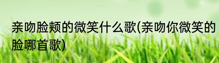 亲吻脸颊的微笑什么歌(亲吻你微笑的脸哪首歌)