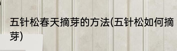 五针松春天摘芽的方法(五针松如何摘芽)