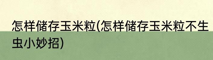 怎样储存玉米粒(怎样储存玉米粒不生虫小妙招)