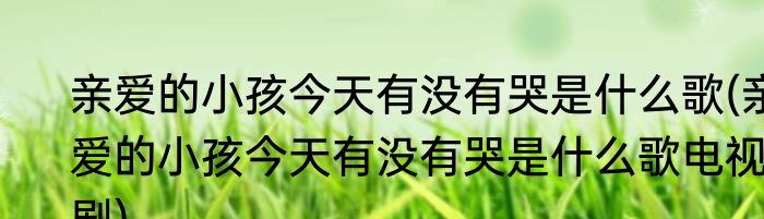 亲爱的小孩今天有没有哭是什么歌(亲爱的小孩今天有没有哭是什么歌电视剧)