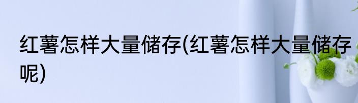 红薯怎样大量储存(红薯怎样大量储存呢)
