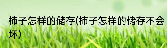 柿子怎样的储存(柿子怎样的储存不会坏)