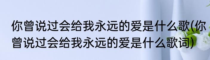 你曾说过会给我永远的爱是什么歌(你曾说过会给我永远的爱是什么歌词)