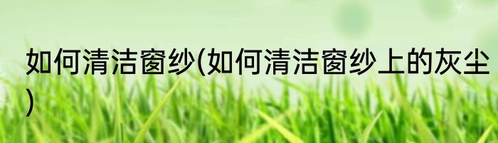 如何清洁窗纱(如何清洁窗纱上的灰尘)