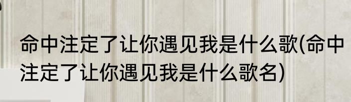 命中注定了让你遇见我是什么歌(命中注定了让你遇见我是什么歌名)