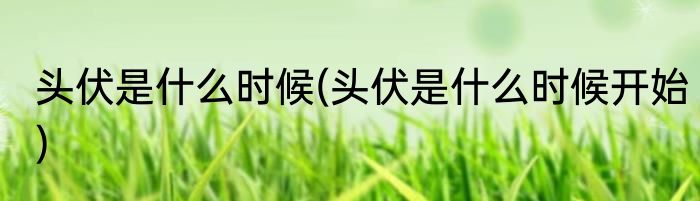 头伏是什么时候(头伏是什么时候开始)
