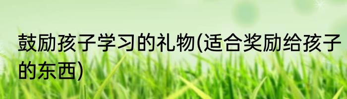 鼓励孩子学习的礼物(适合奖励给孩子的东西)
