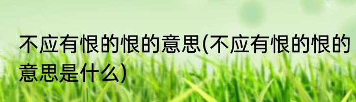 不应有恨的恨的意思(不应有恨的恨的意思是什么)