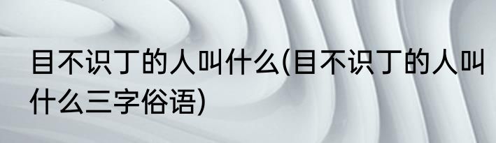 目不识丁的人叫什么(目不识丁的人叫什么三字俗语)