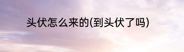 头伏怎么来的(到头伏了吗)