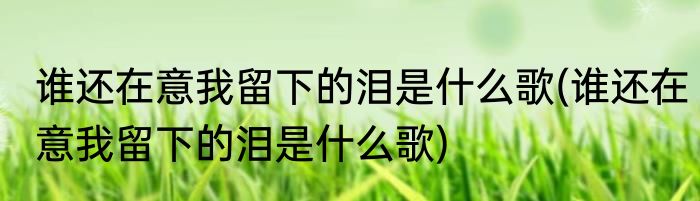 谁还在意我留下的泪是什么歌(谁还在意我留下的泪是什么歌)