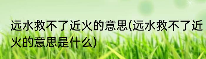 远水救不了近火的意思(远水救不了近火的意思是什么)